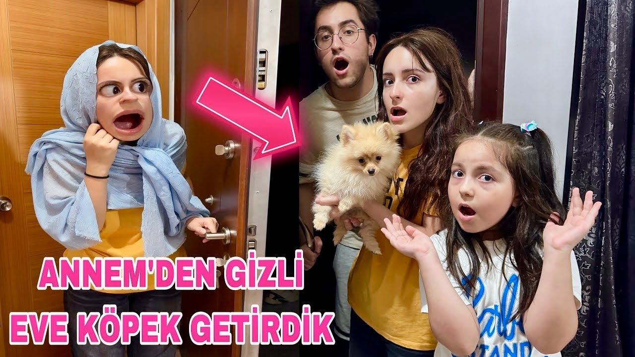 ANNEMDEN GİZLİ EVE KÖPEK GETİRDİK EYVAH‼️ZEYNEP HİRANUR 