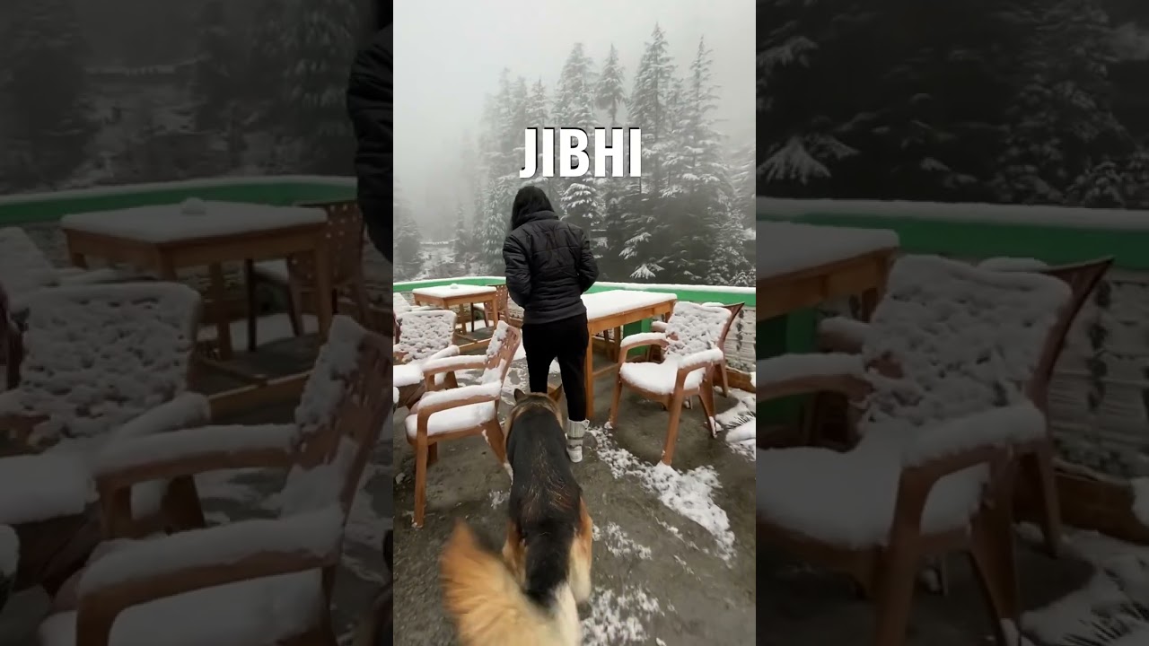 Jibhi ki yaad mei #shorts #indianvlog #india #manali #jibhi #cafe #pahadilifestyle #pahadonmein