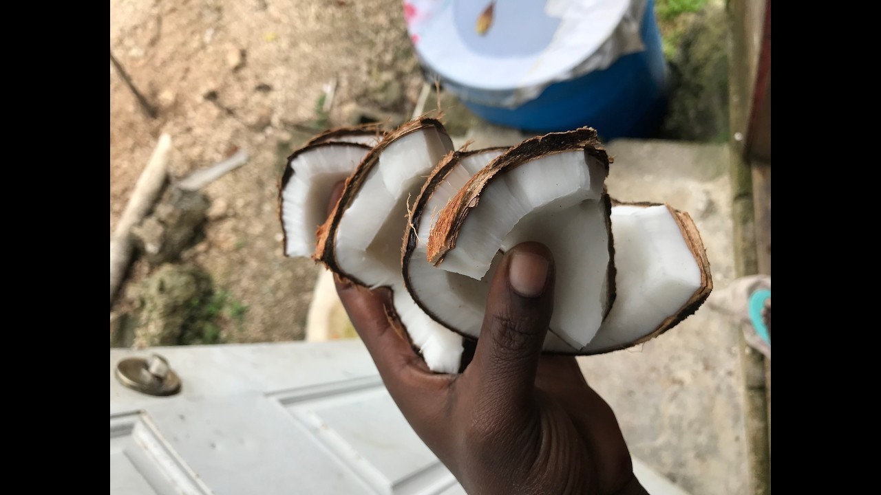 Coconut Porridge/ Sport Day/Summerose Wynter vlog