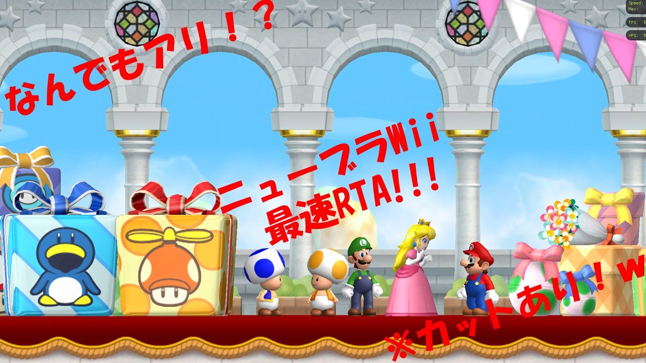 【なんでもあり】New SUPER MARIO BROS. Wii最速RTA！【ヤラセあり】