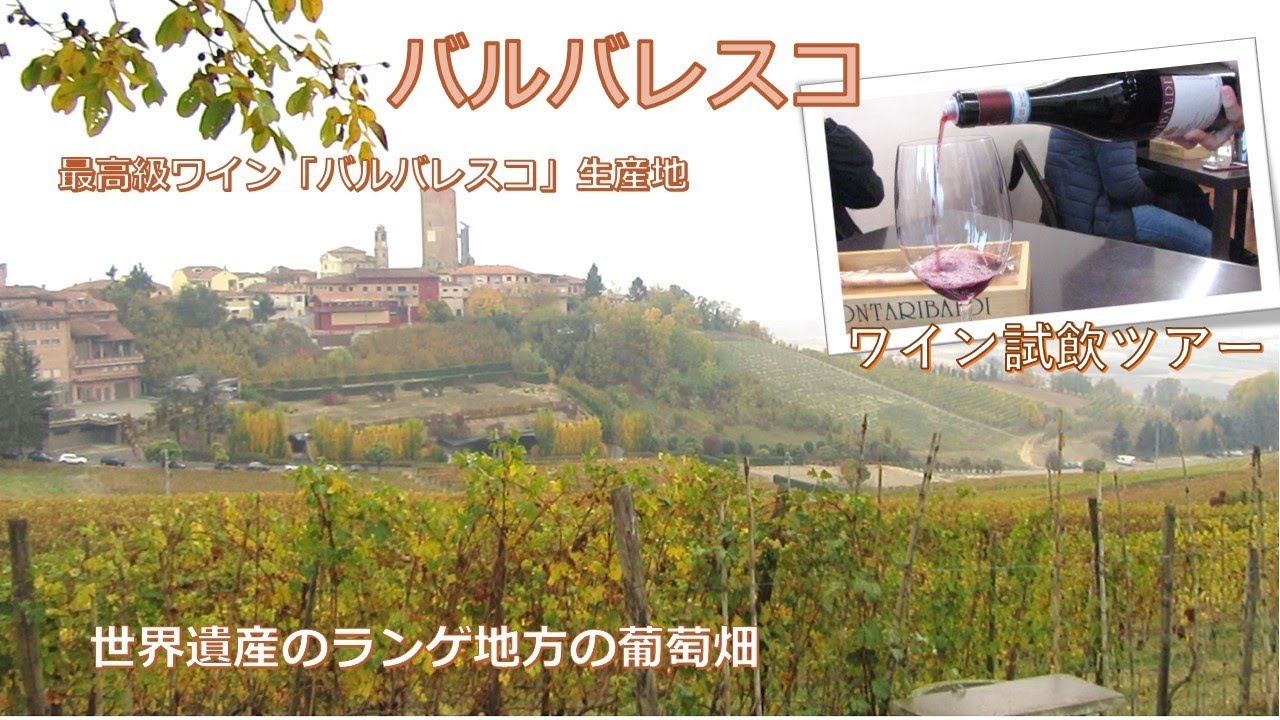 【町歩き編】バルバレスコ、最高級ワインと世界遺産の葡萄畑 ー Barbaresco walk