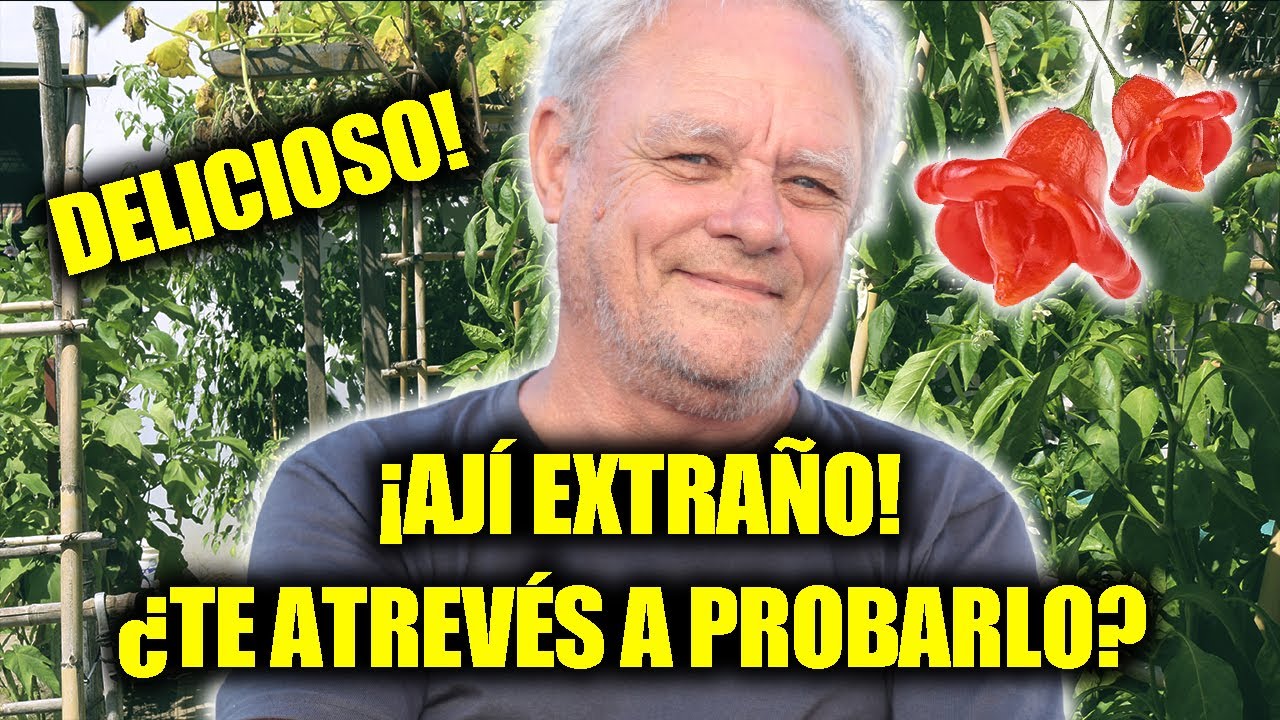 ¡El AJÍ más RARO del MUNDO! 🔥 No creerás cómo sabe