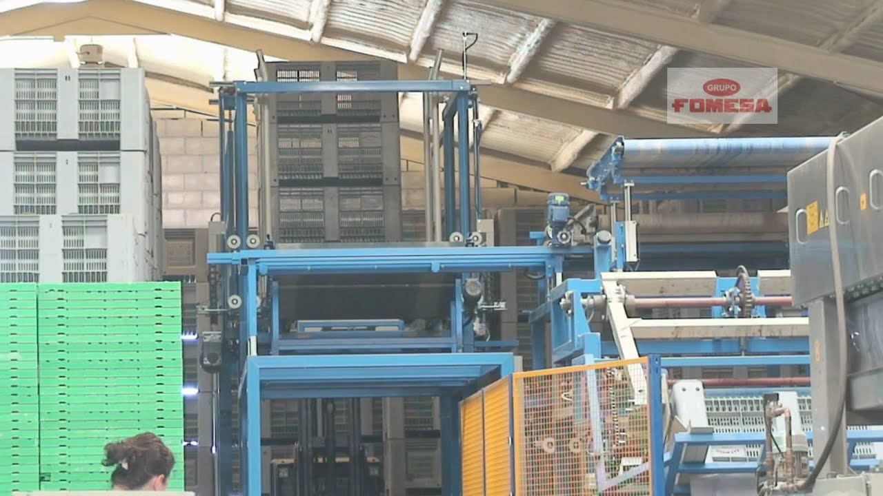 Grupo FOMESA. Instalación para Calibrado y Empaquetado de Melón y Sandia