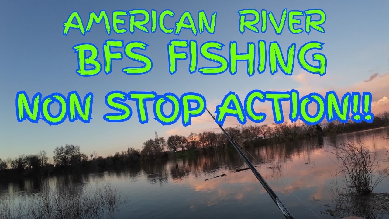 American River BFS Bank Fishing For Trout