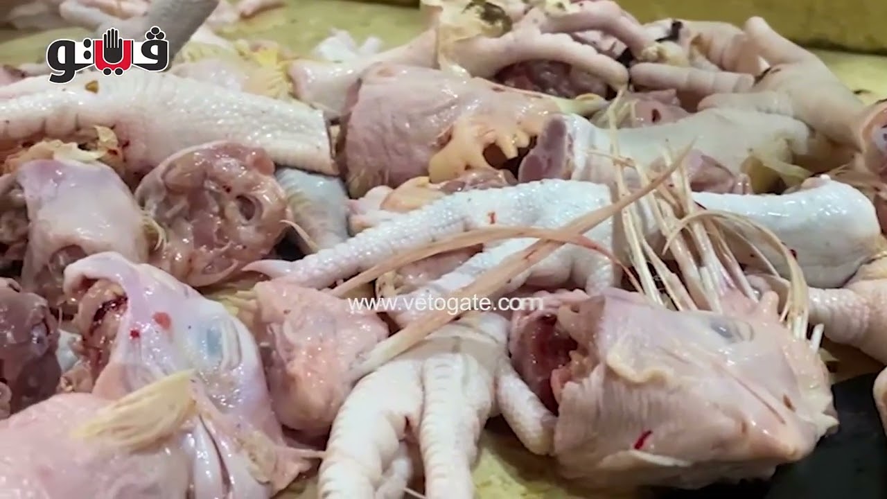 صاحب محل فرارجي الصنايعية بيكسبوا 100 جنيه يوميا من بيع أرجل الدجاج
