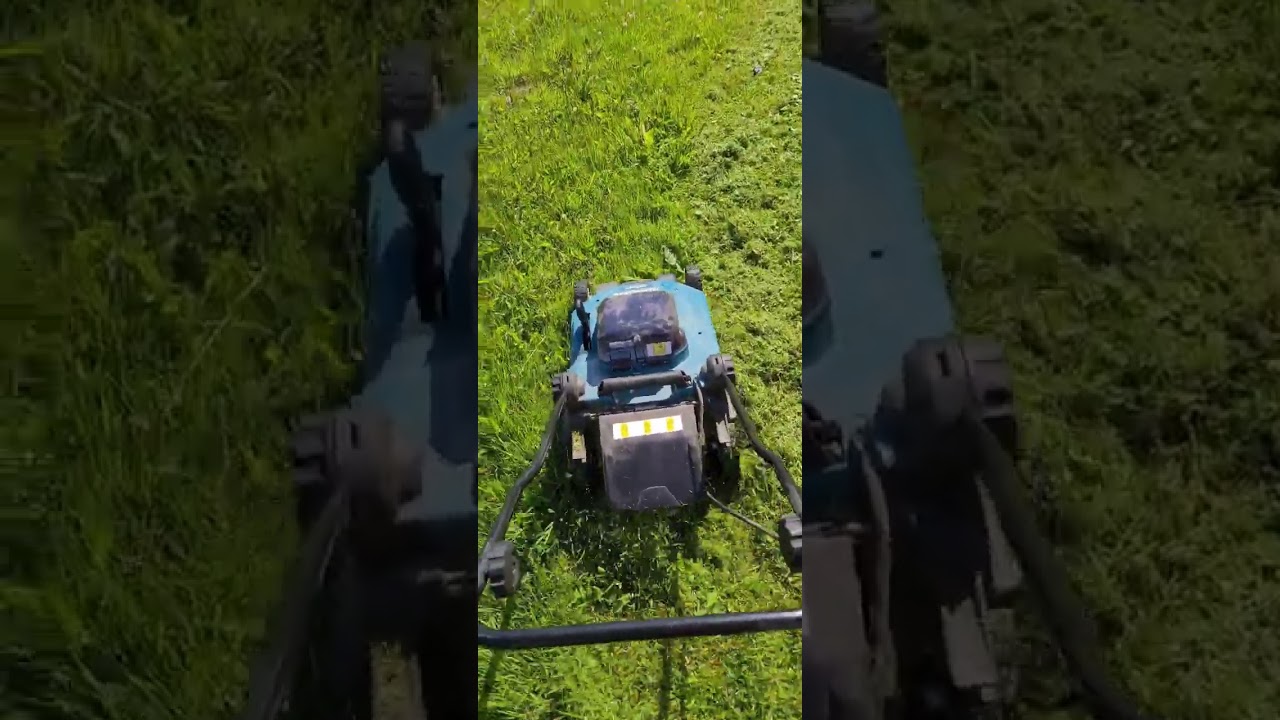 Testing out the Makita DLM382 Cordless lawn mower on over grown grass.