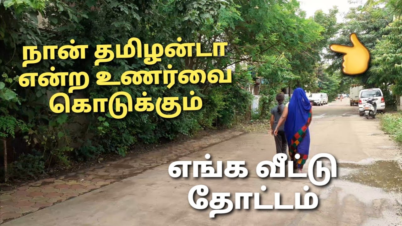 மறத்தமிழச்சியின் வீட்டு தோட்டம்