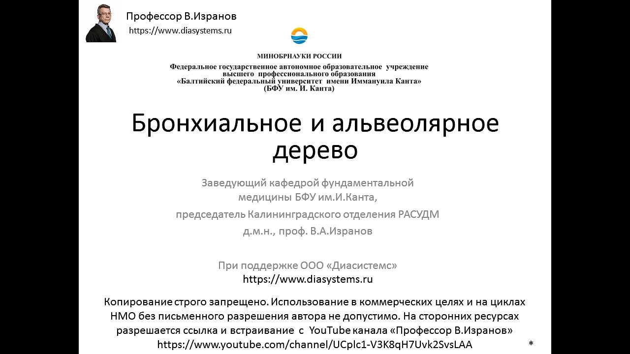 Бронхиальное и альвеолярное дерево. Лекция для студентов медицинского инаститута