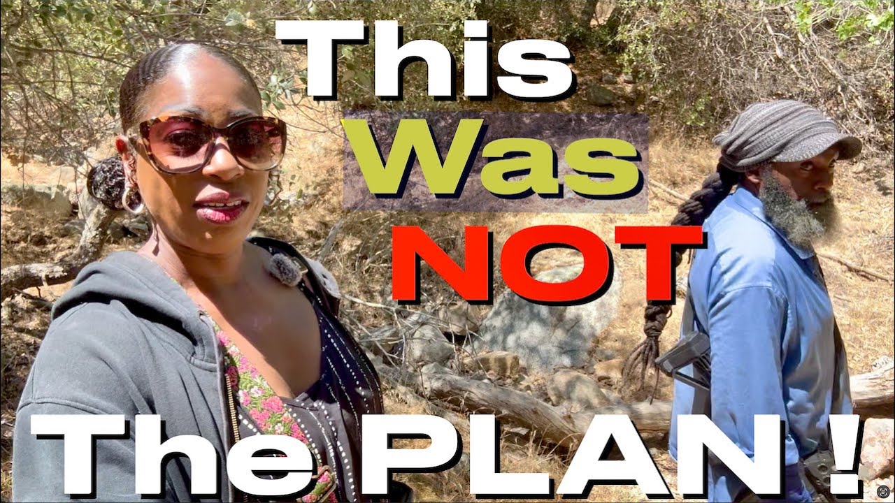 💧Our NATURAL SPRING Dried Up?! 😱 NOW WHAT?! #offgrid #homestead #tinyhouse  #vegogarden #spring