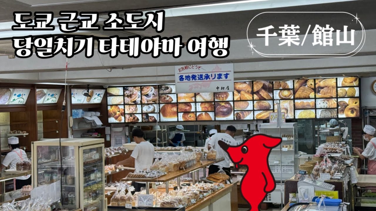 도쿄 근교 소도시 | 당일치기 타테야마 여행 | 시골 스시집, 1919년부터 운영하는 빵집, 땅콩소프트크림, 잘 먹고 바다 보고 힐링한 어느 여름날 브이로그