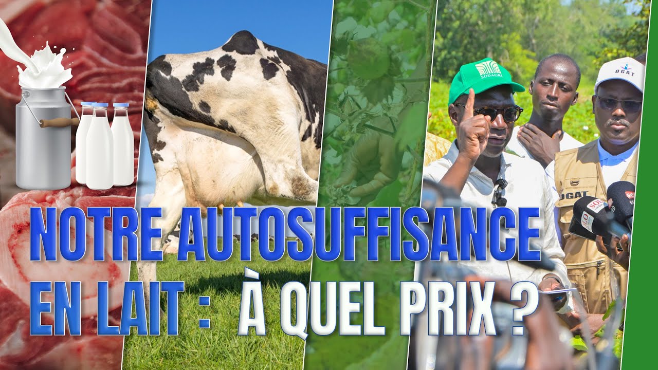 L&rsquo;ensilage : un levier strat&eacute;gique pour notre souverainet&eacute; alimentaire en lait et en viande rouge