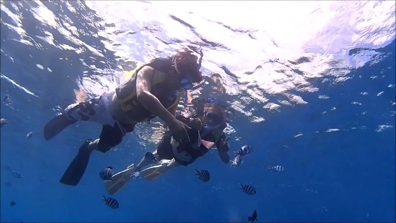 Snorkeling Marine Club Berry