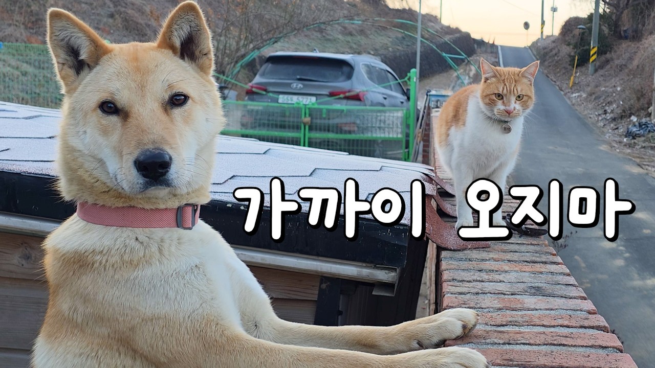 저는 당해도 쌉니다