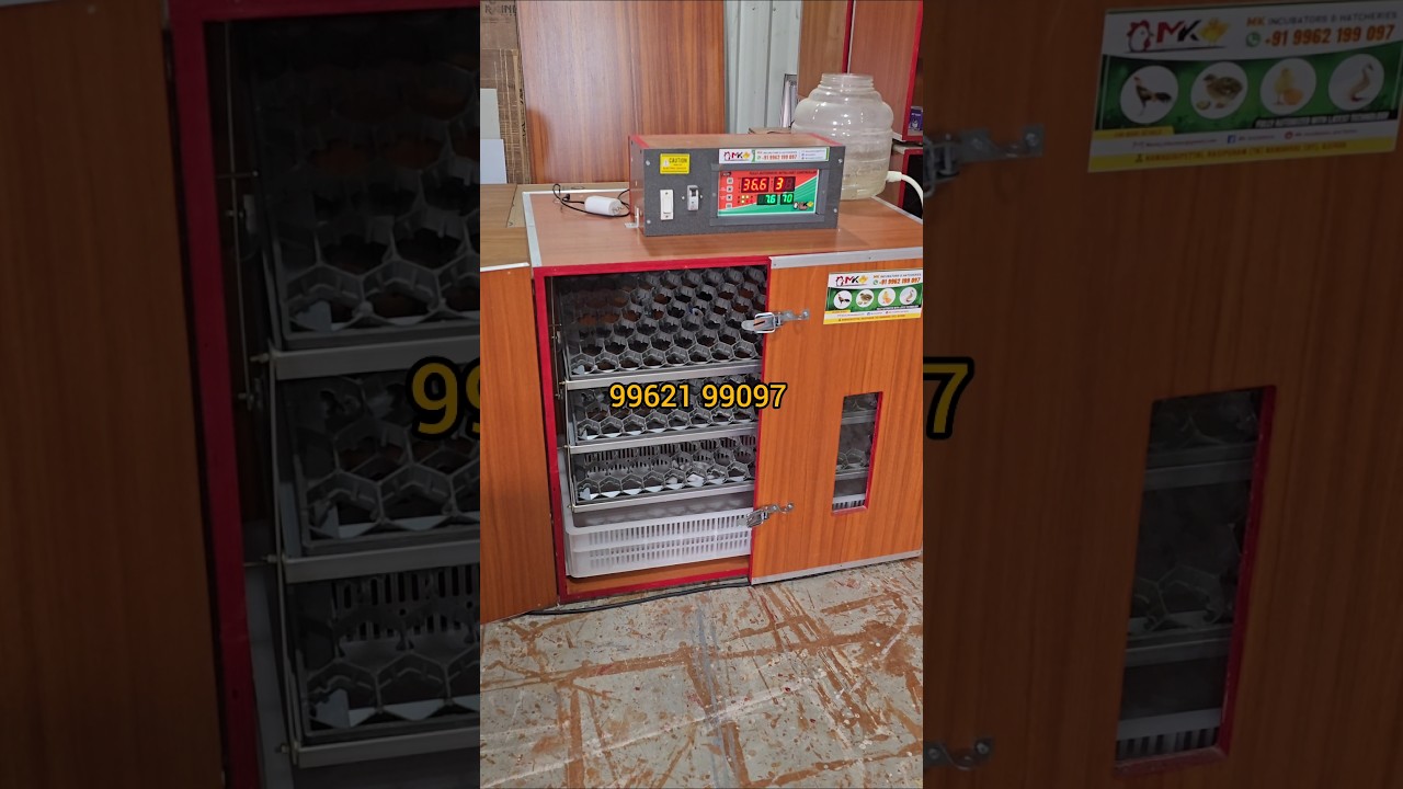 automatic incubator 60 100 300 eggs #incubator #mkincubator #automaticincubator #incubatornamakkal