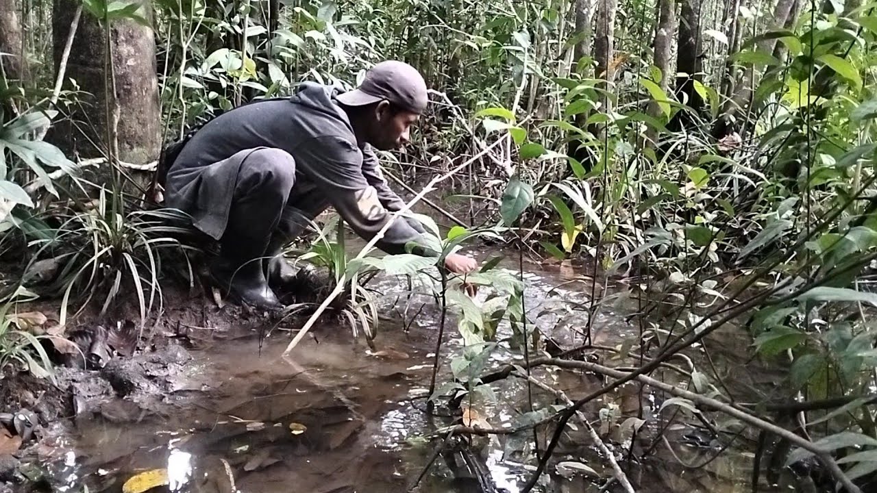 spot pasang tajur...! surganya ikan lembat monster 😱