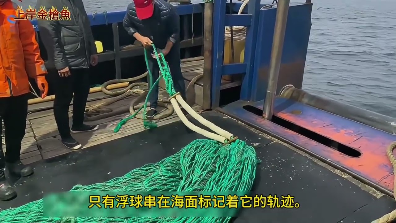 900马力灯光围网渔船下网过程。The net-setting process of a 900-horsepower light-seine fishing vessel.