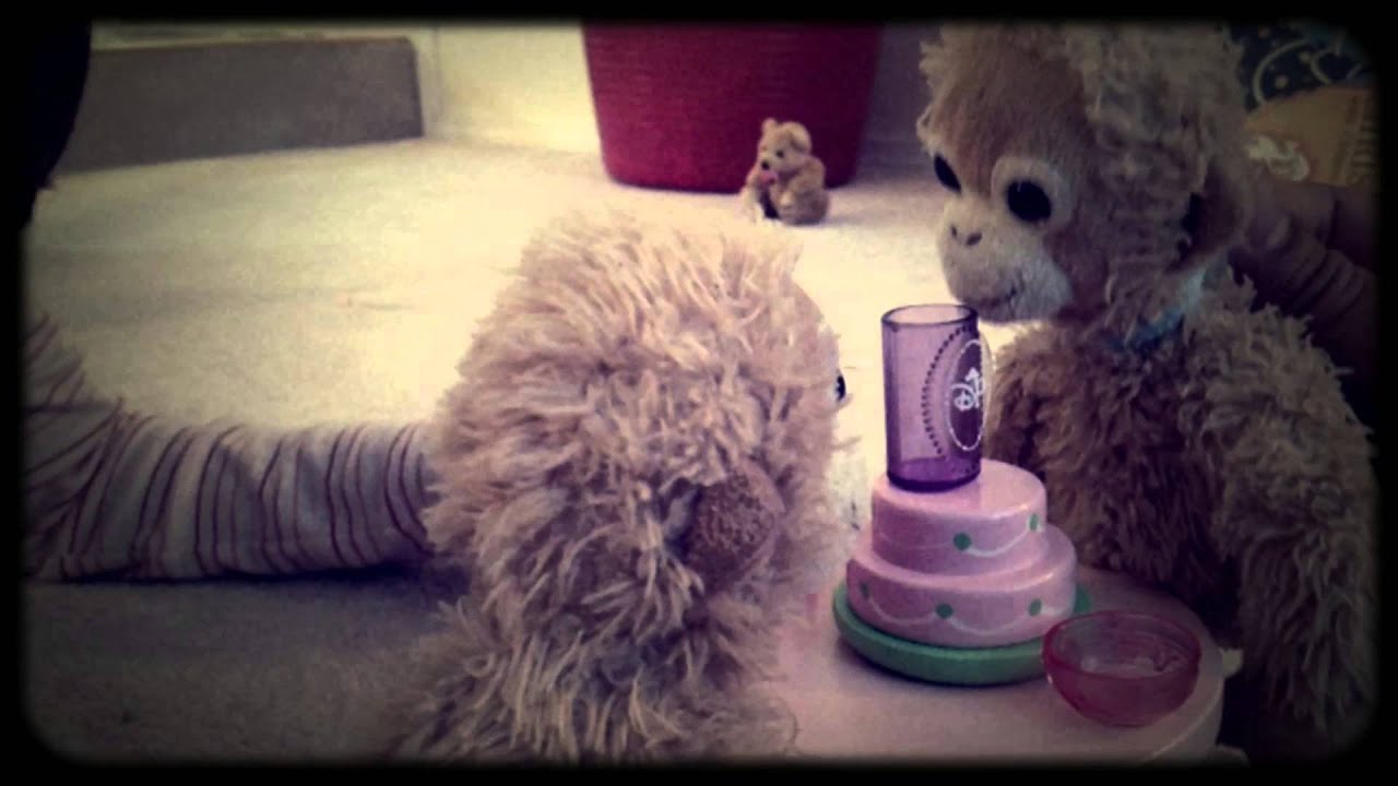 Bongo & Missy A Love Story