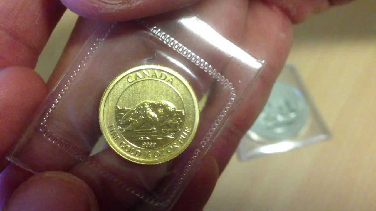 1/4 Ounce Gold Canadian Polar Bear Coin FIRST YOUTUBE APPEARANCE