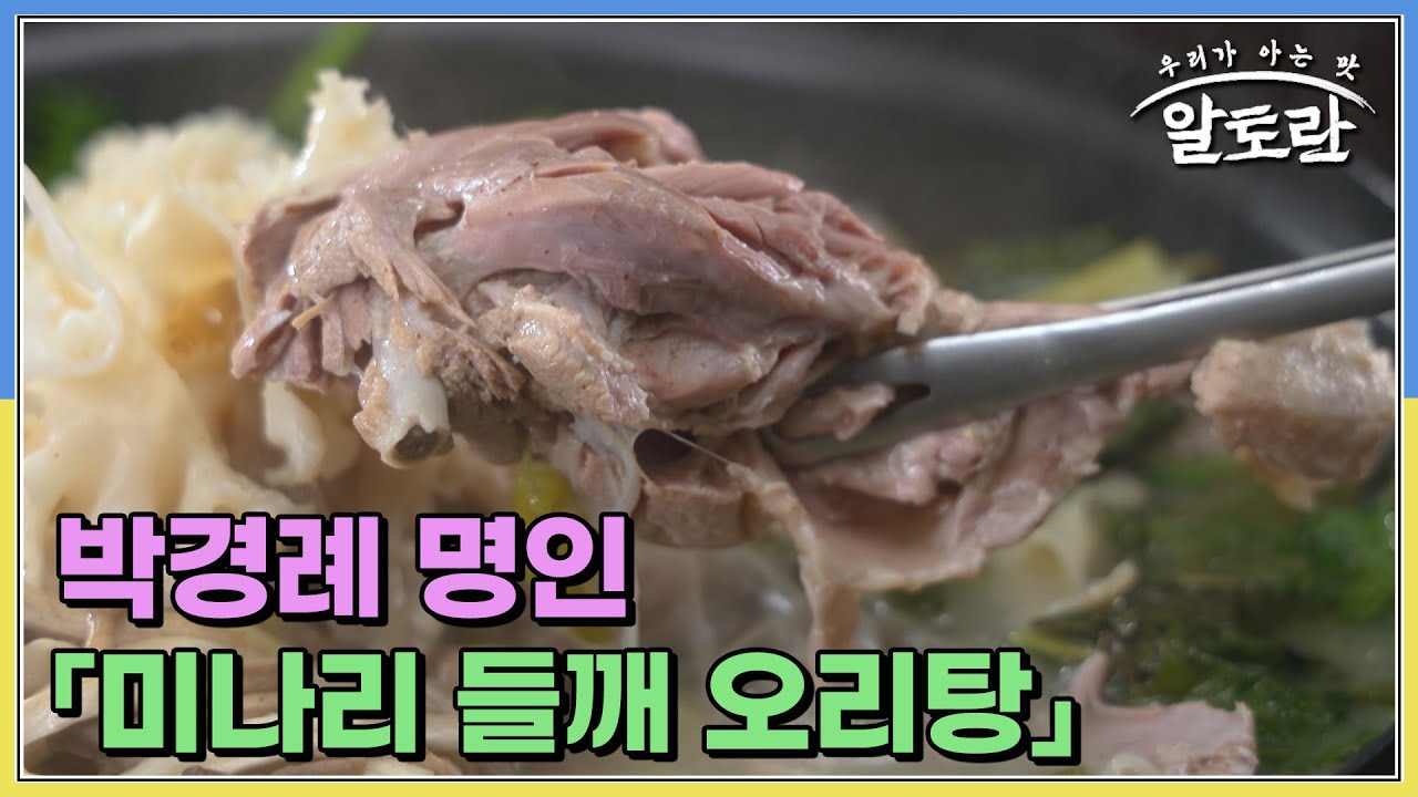 ☆기력 충전☆ 박경례 명인의 보양식 「미나리 들깨 오리탕」의 특급 비법 공개! MBN 250914 방송