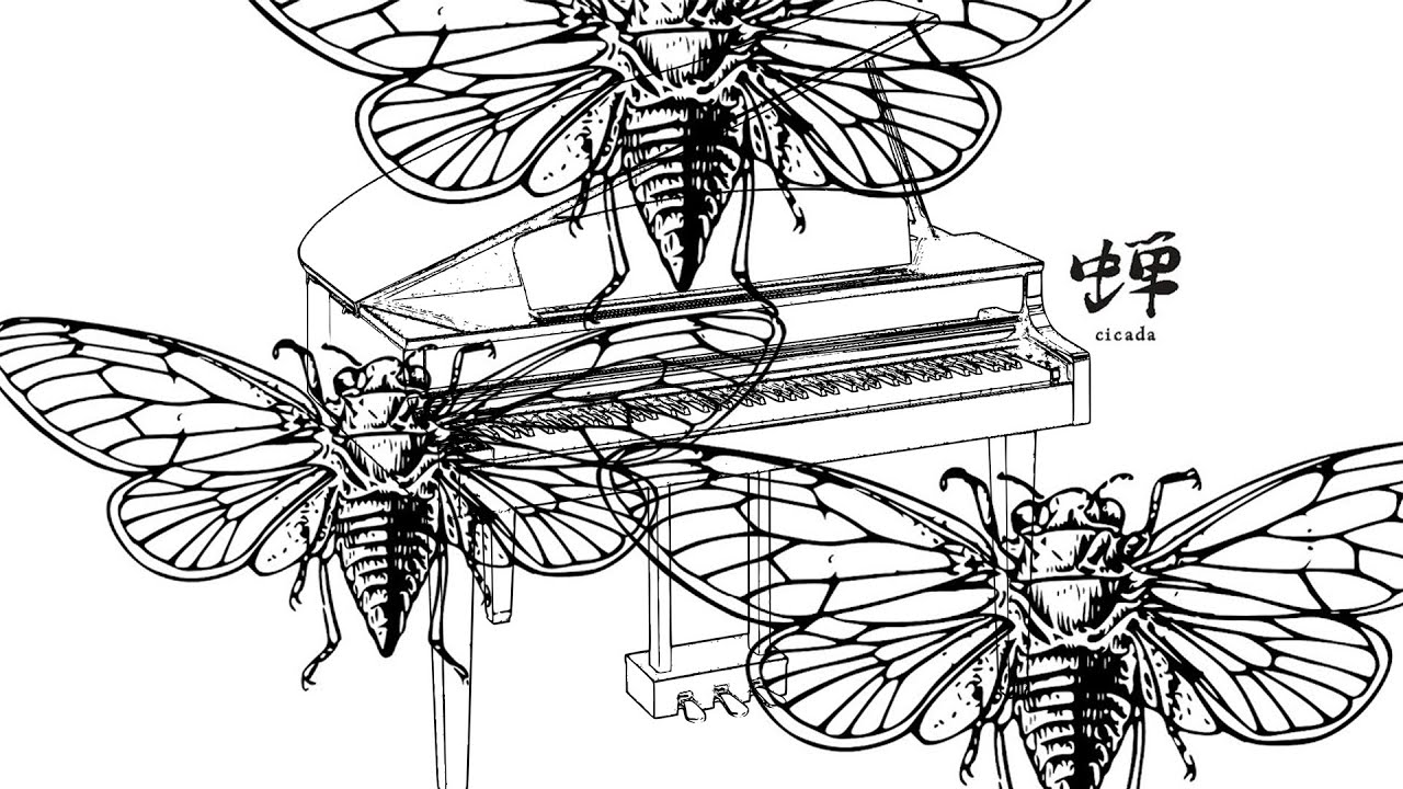 cicada/Genki Iijima 蝉/飯島玄麒 【July 2012 Piano Live】