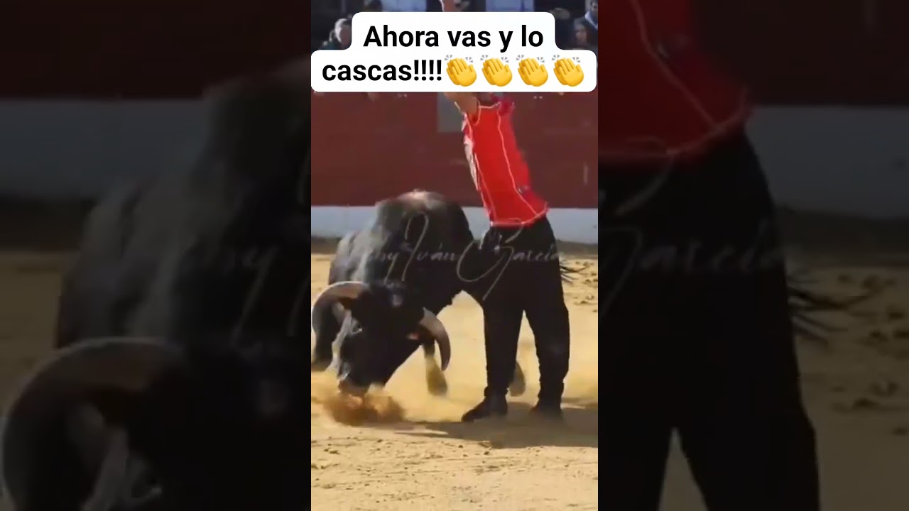 Incredible Bull Acrobat! Brave Recortador Faces Fierce Bull Backwards! #shorts  #bulldodging #bull