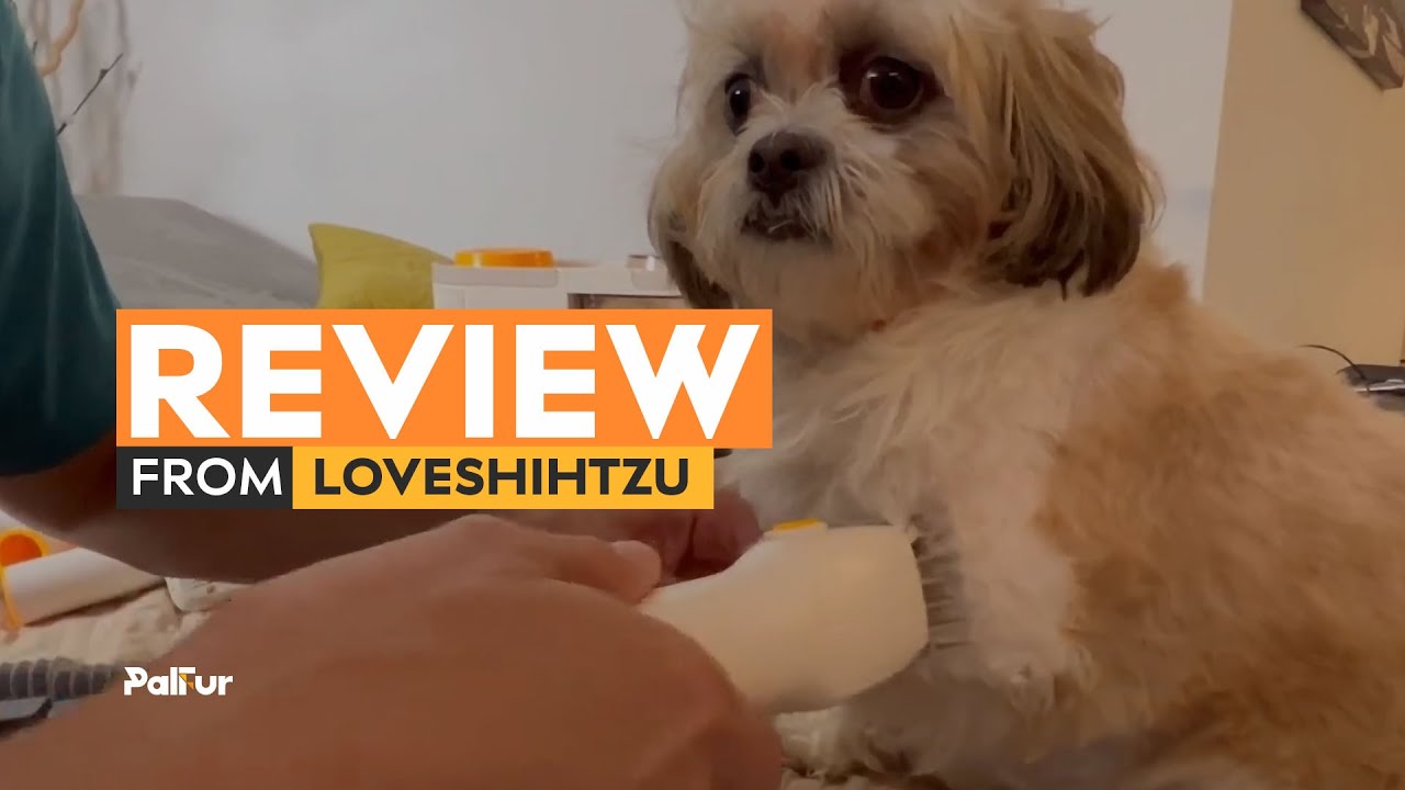 The Best Grooming Vacuum of 2023