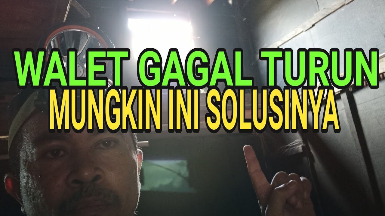PENYEBAB DAN SOLUSI WALET GAGAL TURUN KE RUANG INAP.