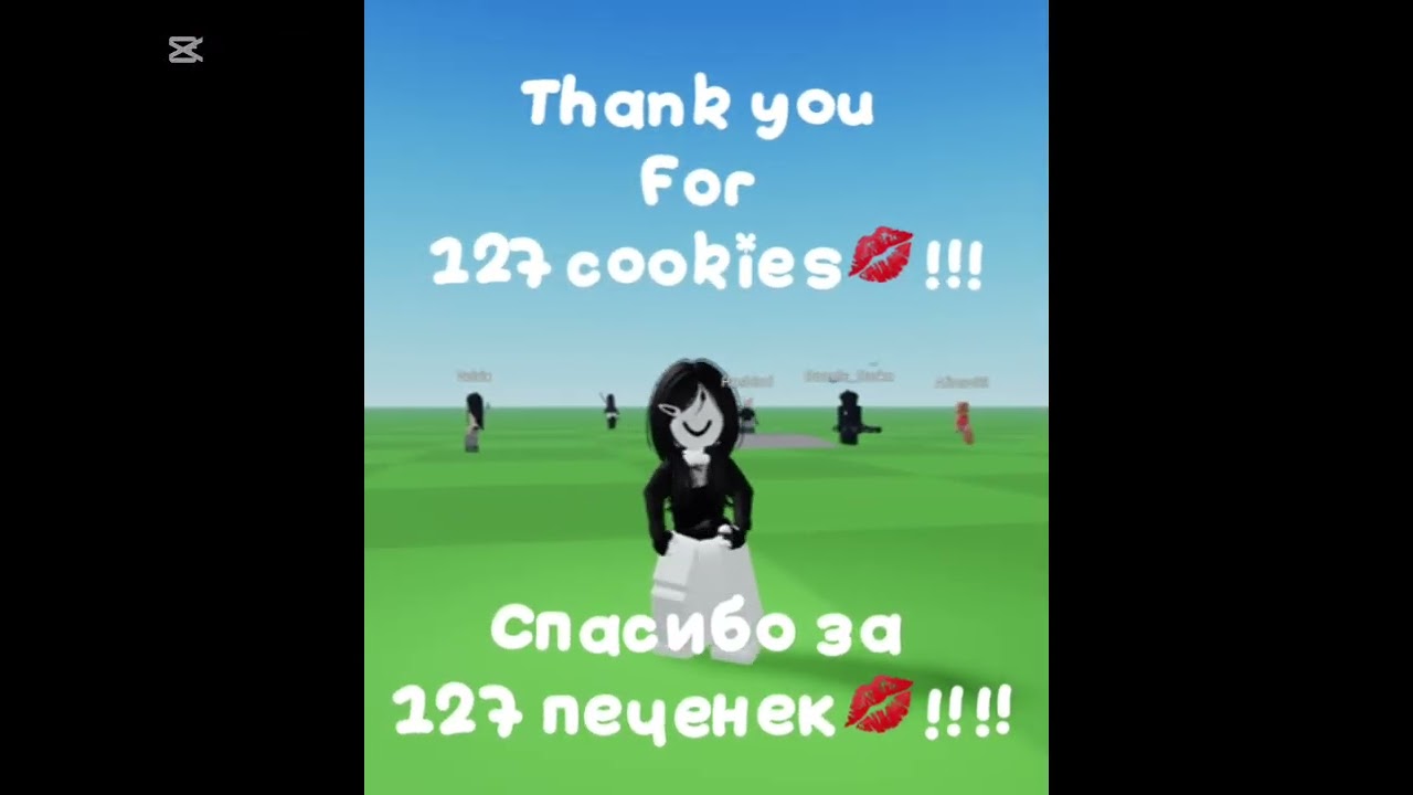 #roblox #спасибо #тт#залетипж 