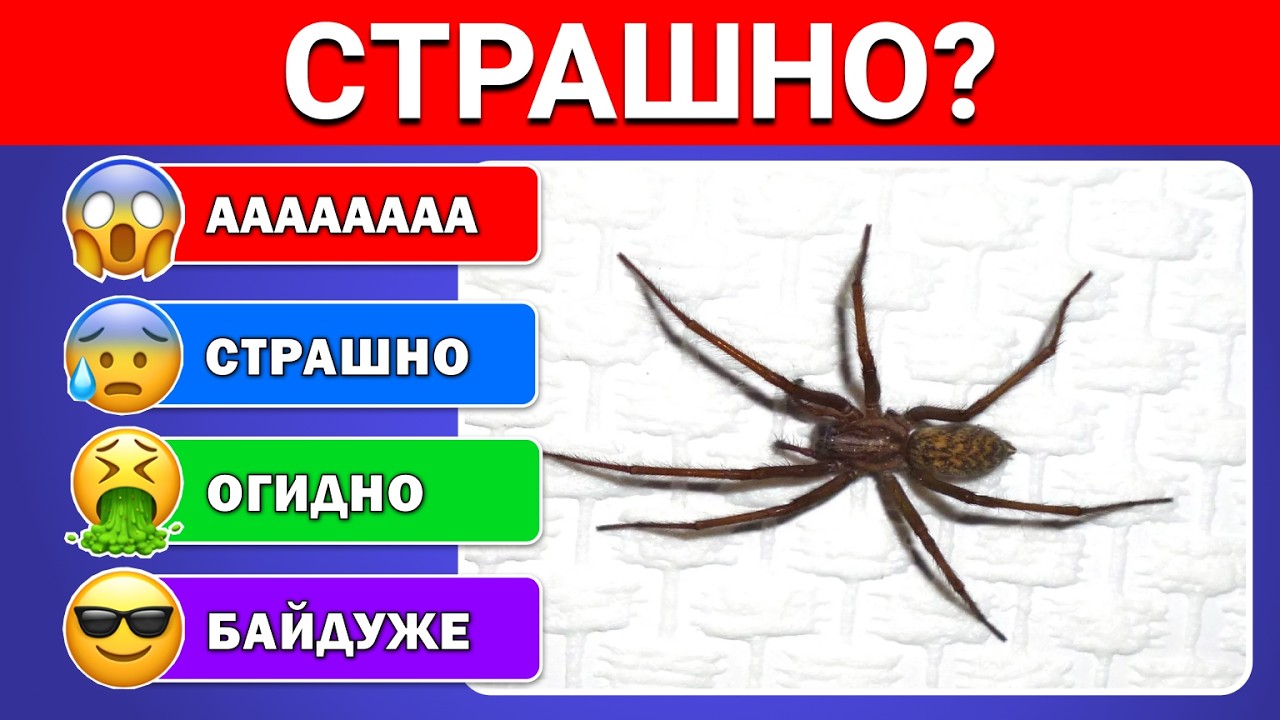 Оціни свій Страх 😱 ✅ | Вікторини Українською 🇺🇦