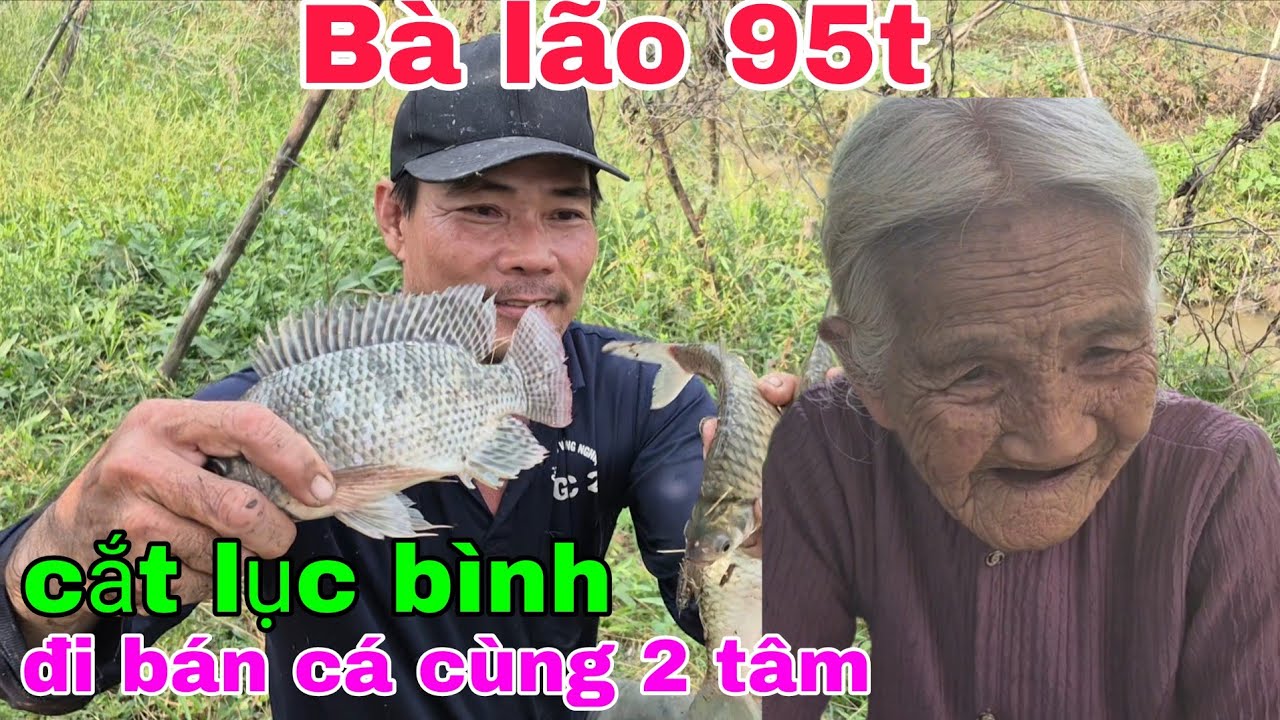 Bà lão 95t cắt lục bình đi bán cá với hai tâm miền tây không ai mua hết 