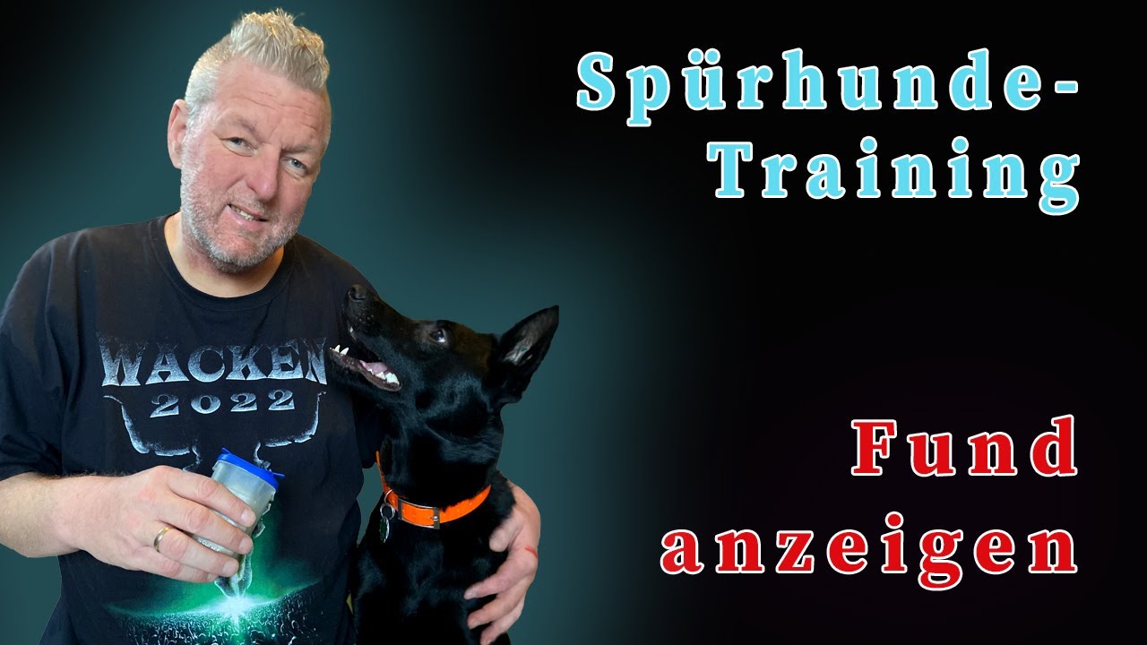 Nasenarbeit für Zuhause - Spürhunde Training (Teil 2) - Anzeigeverhalten