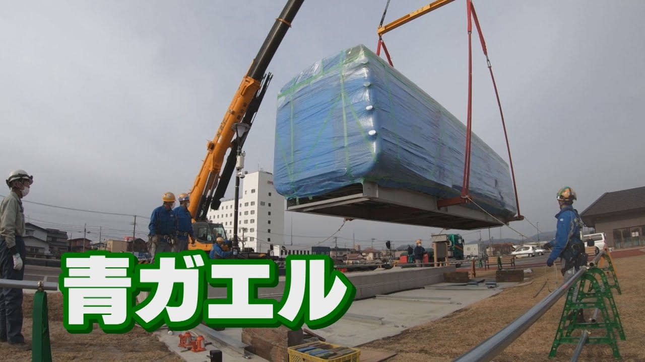青ガエルが、お化粧直しを終えて戻ってきた。