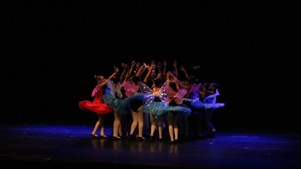 O Lago dos Cisnes 2026 | Part 9 | teatro Barreto Junior 