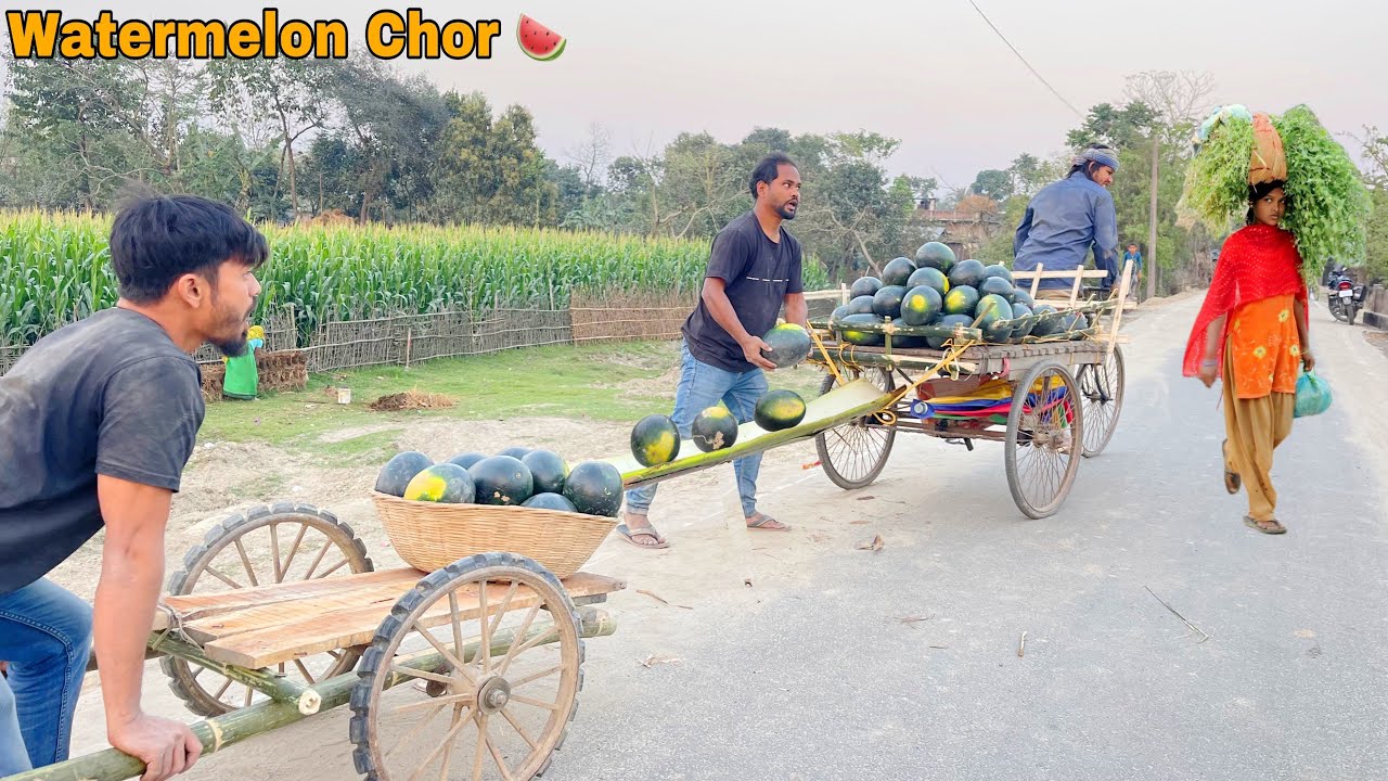 Must Watch Watermelon Chor Part_2 🍉🍉 New Funny Comedy Video || By Bindas Fun Nonstop