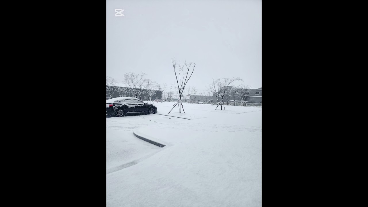 보다 나은 선택|청사시