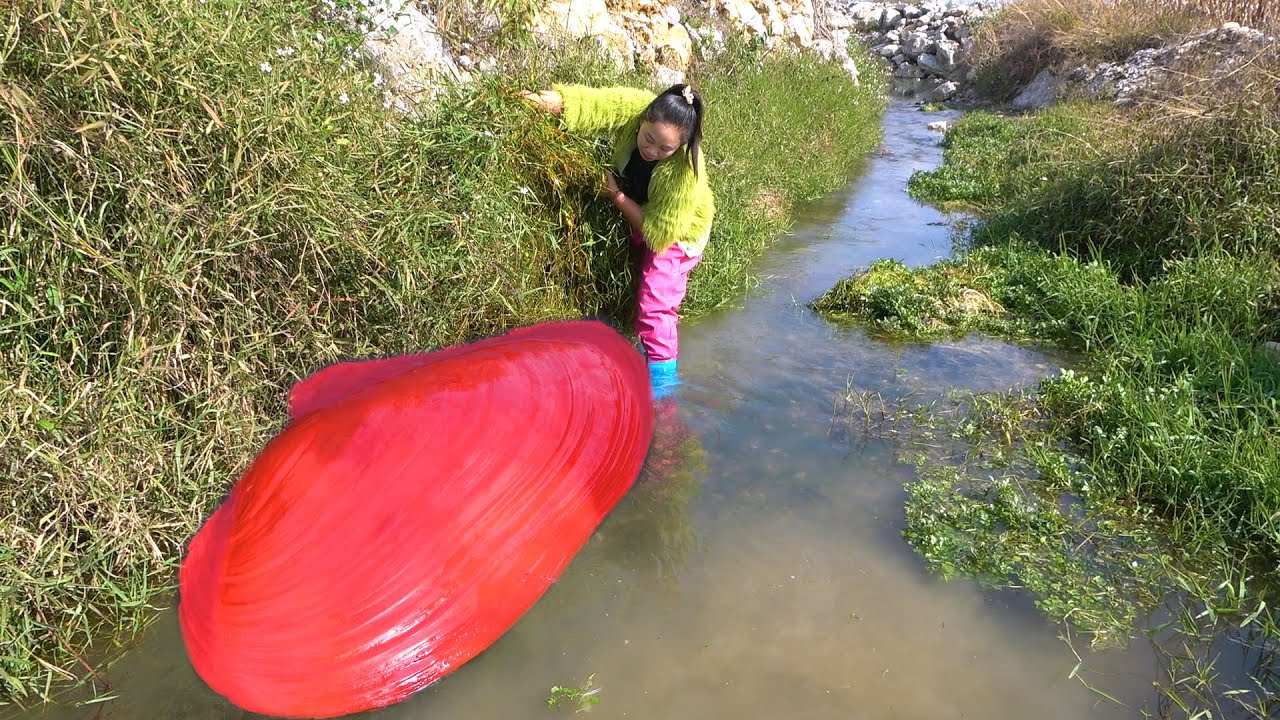 🎁🎁Opening the water grass, I found a giant red clam with countless sparkling red pearls inside