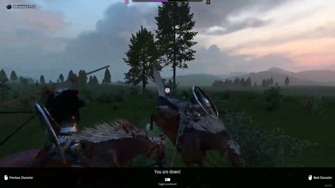 Bannerlord Online PvP - New Meta 5v5 Northern Empire vs CRAZY BOYS