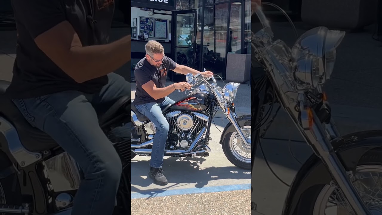 Historic 1987 Harley Softail #harleydavidson #shorts