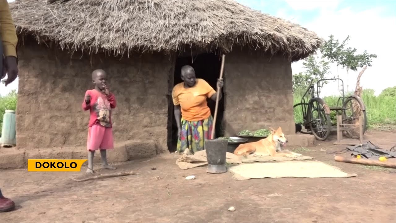 PLIGHT OF THE ELDERLY || EXPERTS WANTS URGENT MEDICAL INSURANCE FOR THE OLDER PERSONS
