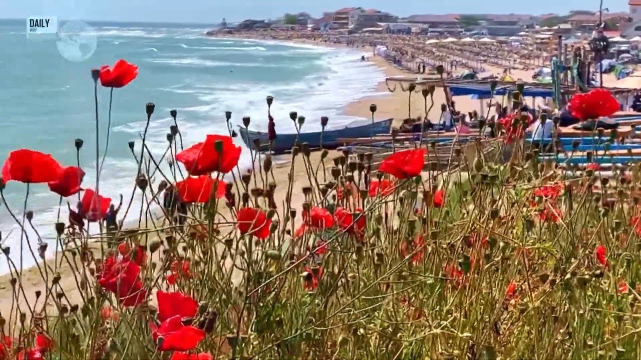 Vama Veche, ROMANIA | People & vibe