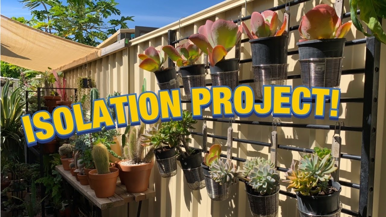 No cost Vertical garden 😱