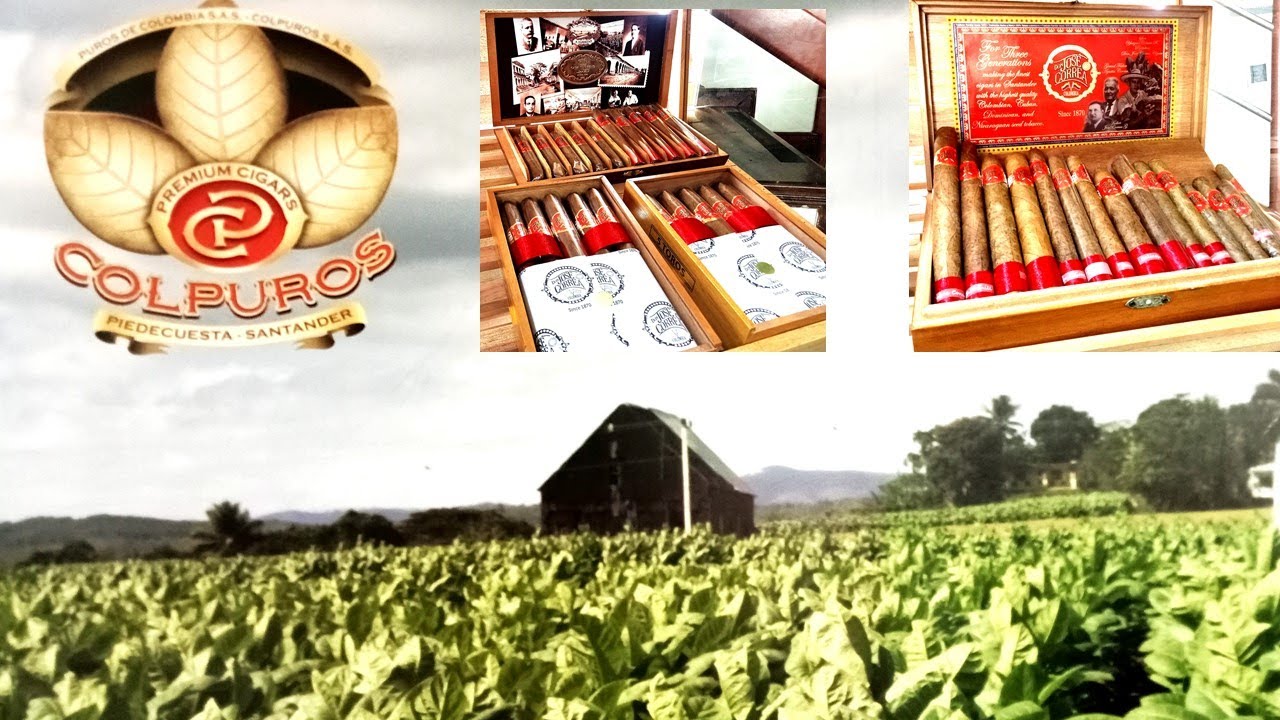 Puros, aroma a   tabaco Colombiano.