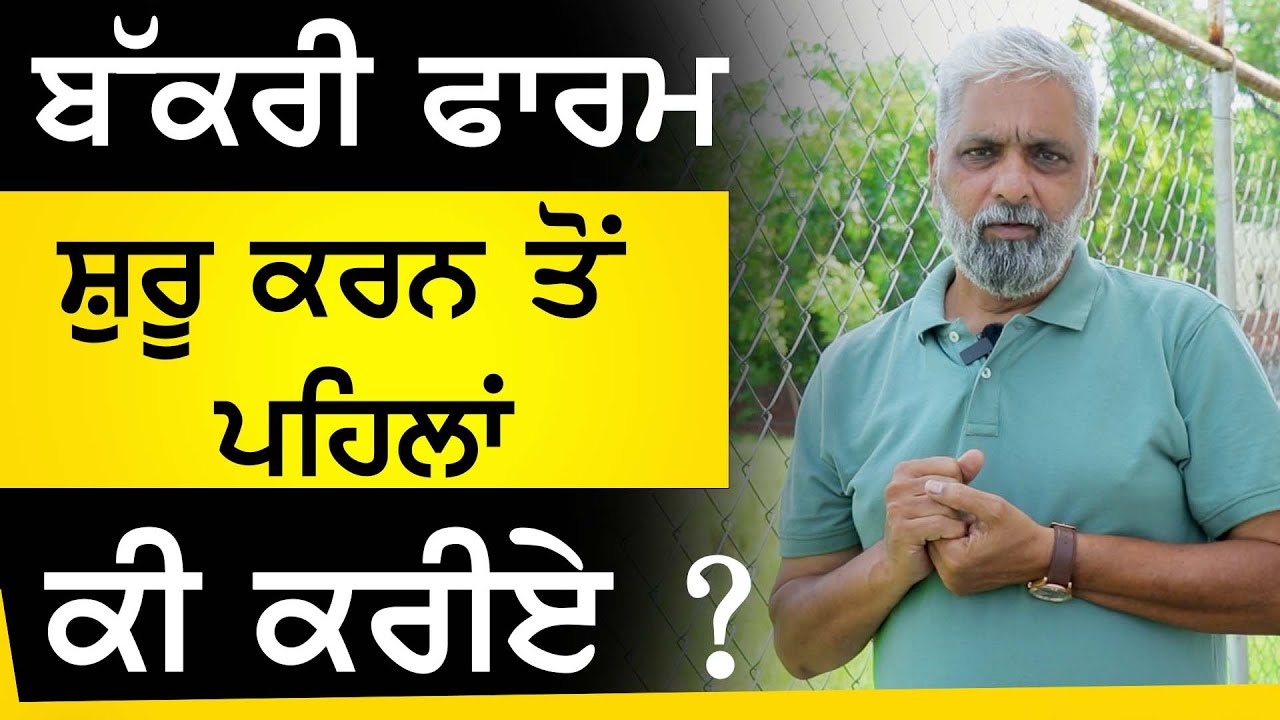Kang Goat Farm - Bakri Farm ਸ਼ੁਰੂ ਕਰਨ ਤੋਂ ਪਹਿਲਾਂ  ਕੀ ਕਰੀਏ  ? | Goat farming | @kanggoatfarm