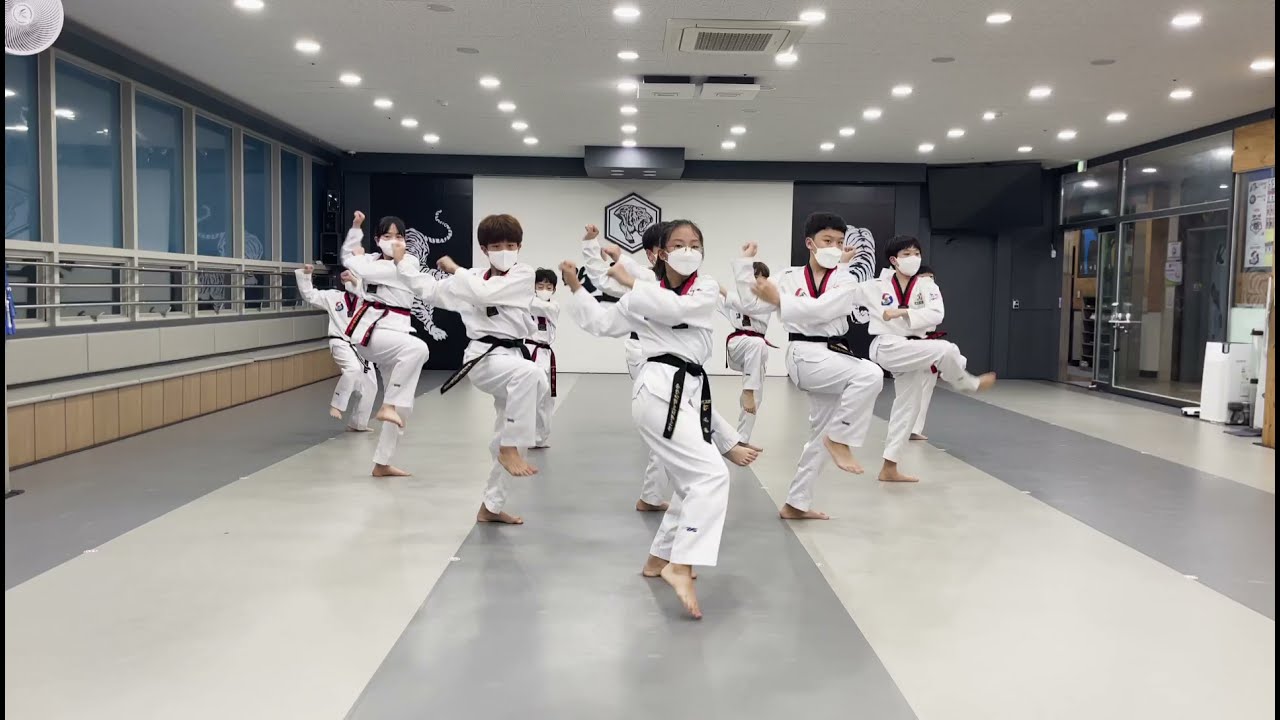 용인대백호태권도 아디다스태권체조챌린지