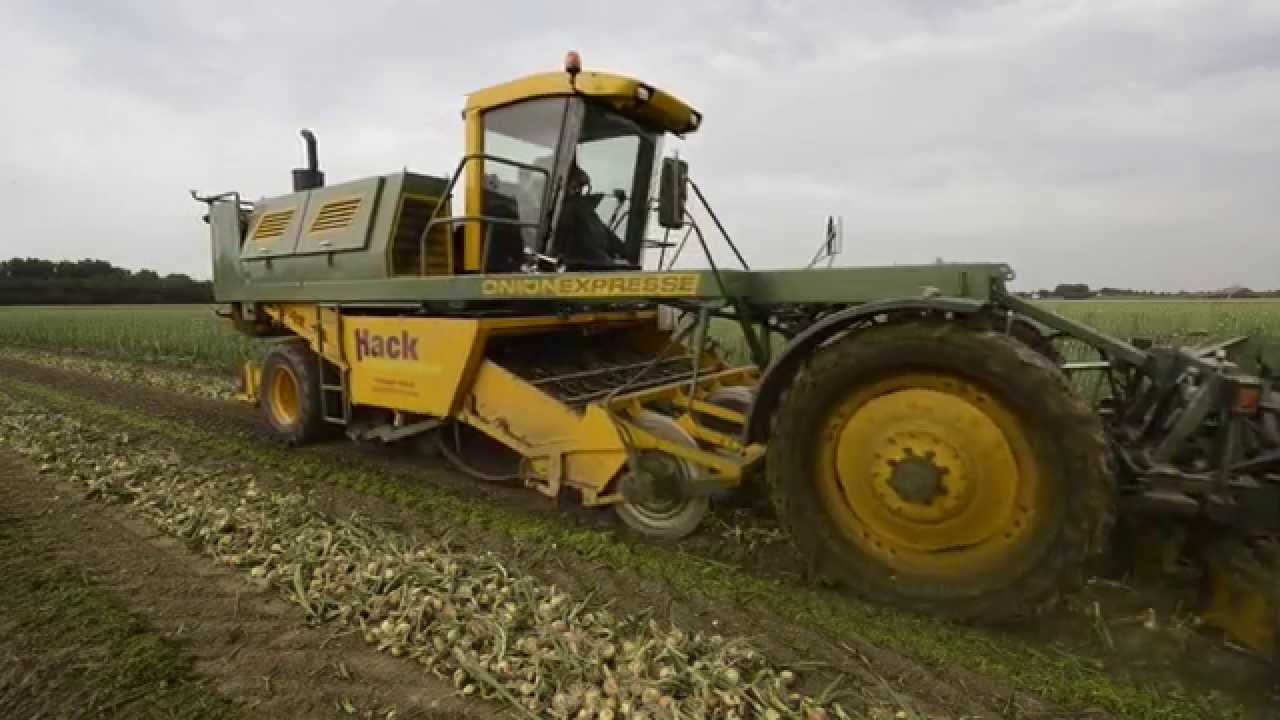 Wim de Witte oogst 45 ton winteruien