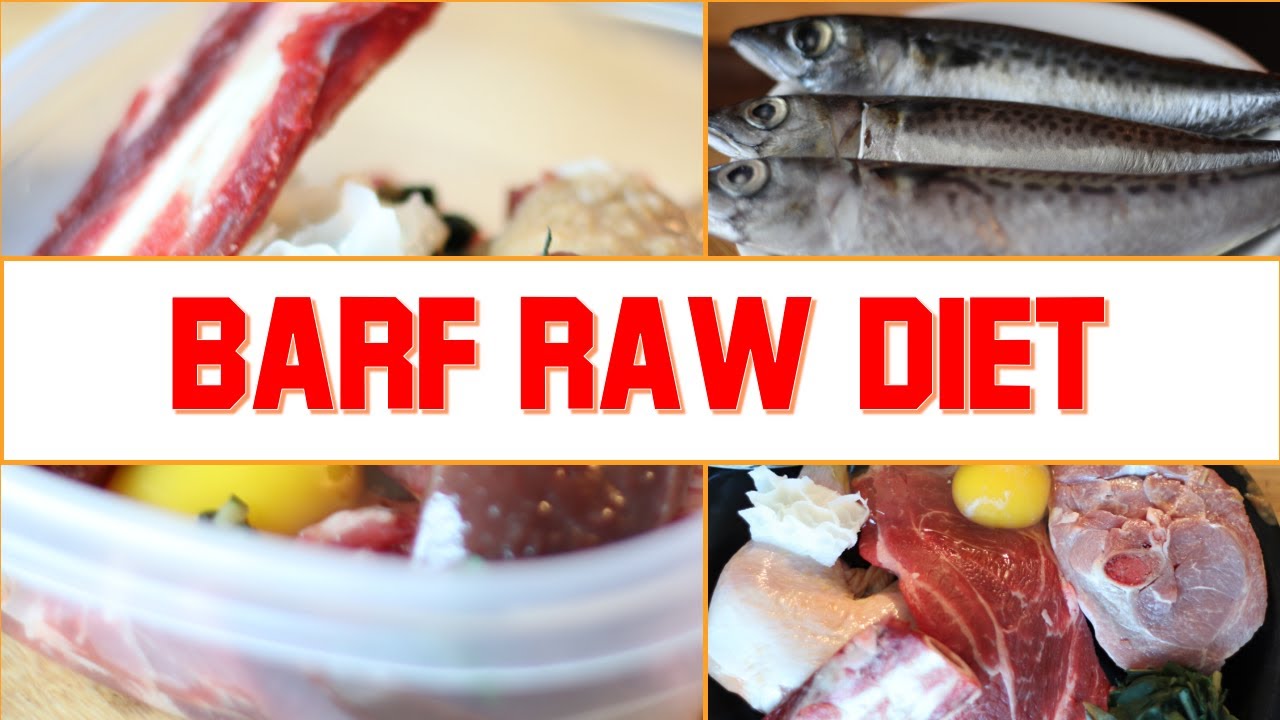 Простая домашняя сыроедческая диета BARF для вашей собаки