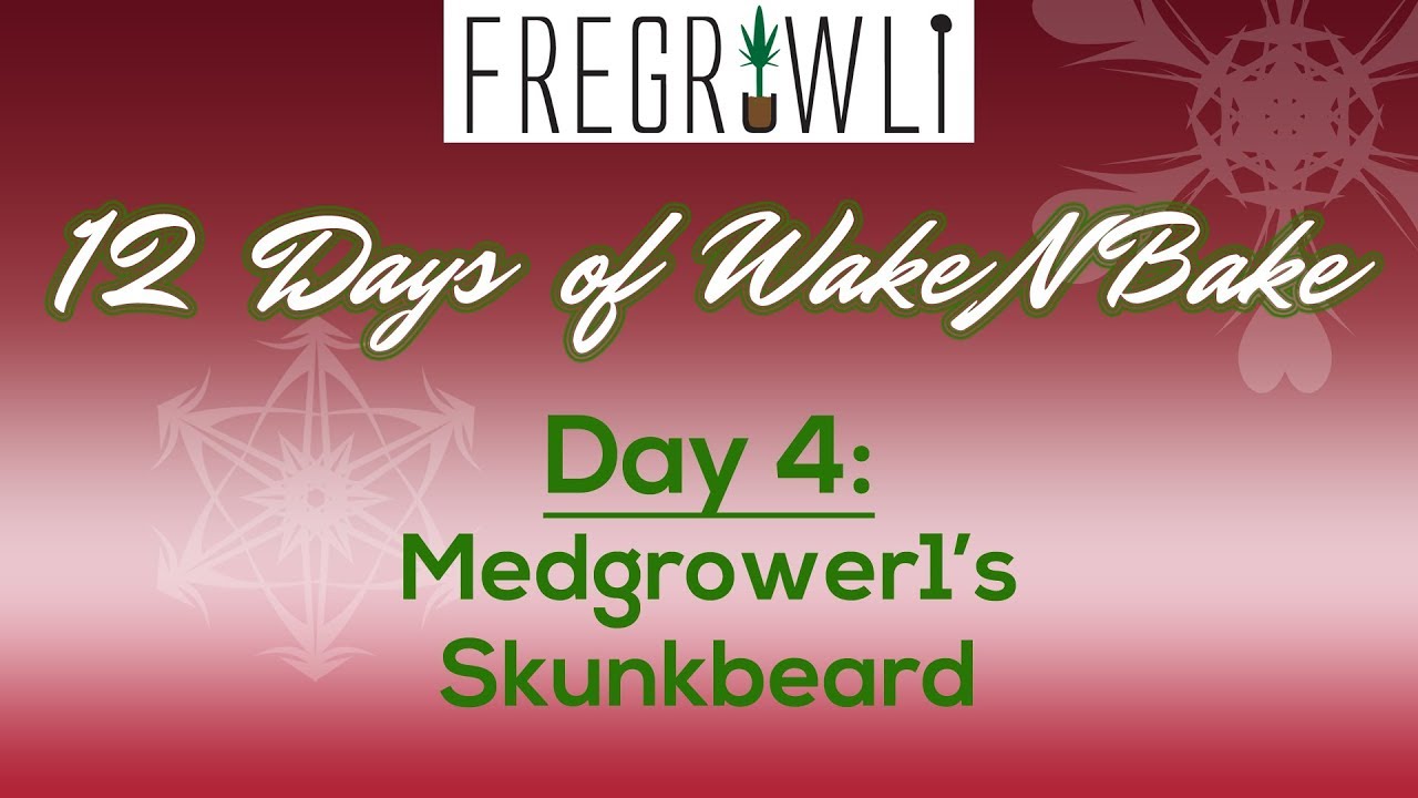 4th Day of WakeNBake: Medgrower1's Skunkbeard (Ocean Grown Genetics)