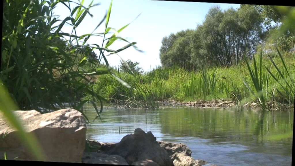 Walphy : une réponse à la fragilité de nos cours d'eau