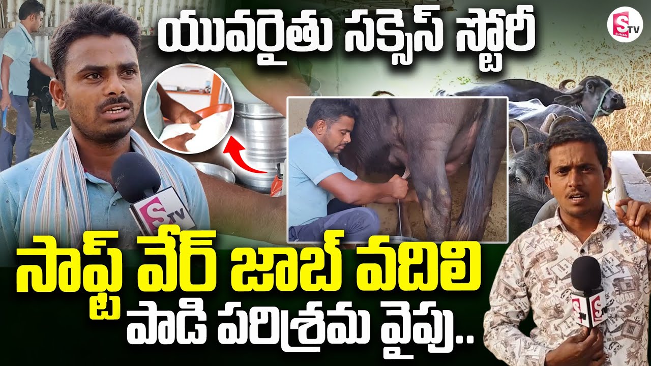 Dairy Farming : సాఫ్ట్ వేర్ జాబ్ వదిలి..పాడి పరిశ్రమ వైపు.. | Telugu Latest | @SumanTV Siddipet