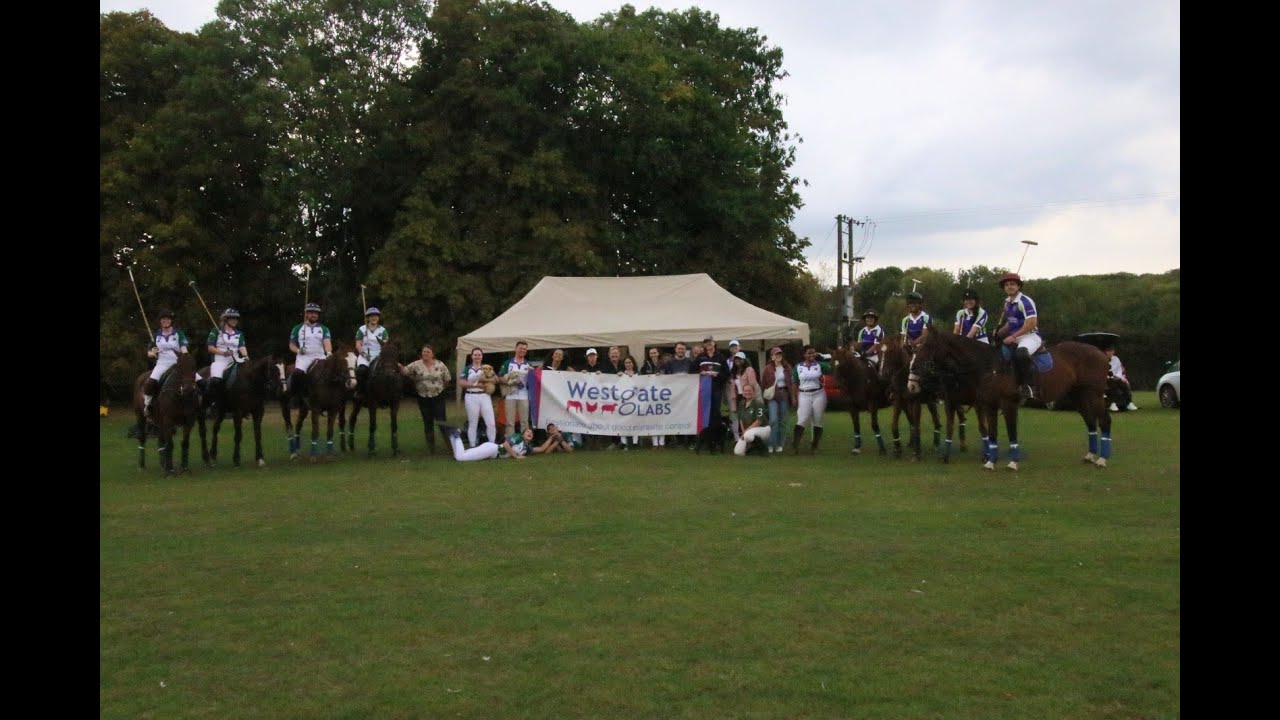 RVC Polo Club